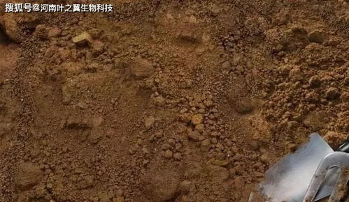 叶之翼肥料学堂 不同的土质施肥也需要因地制宜