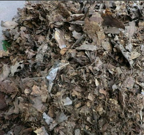 养花自制 营养土 ,制作简单,肥力更好