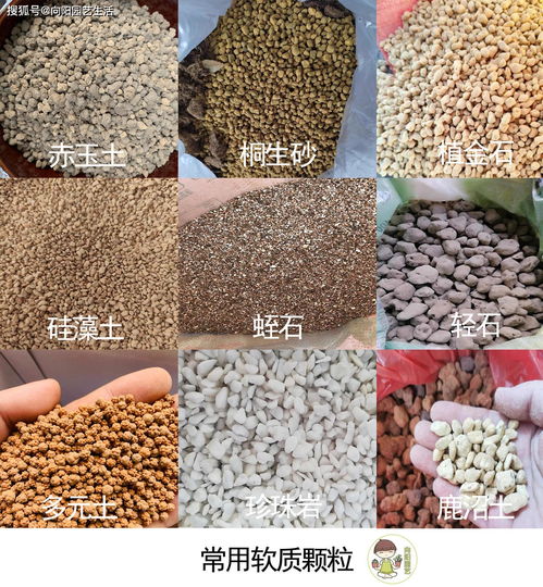 多肉如何配土 了解土壤种类,根据当地环境,搭配实用花土