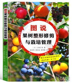 正版 图说果树整形修剪与栽培管理 果树栽培管理技术 果树种苗育苗 嫁接 苗木栽培技术 果树病虫害防治 果树科学种植技术指导书籍