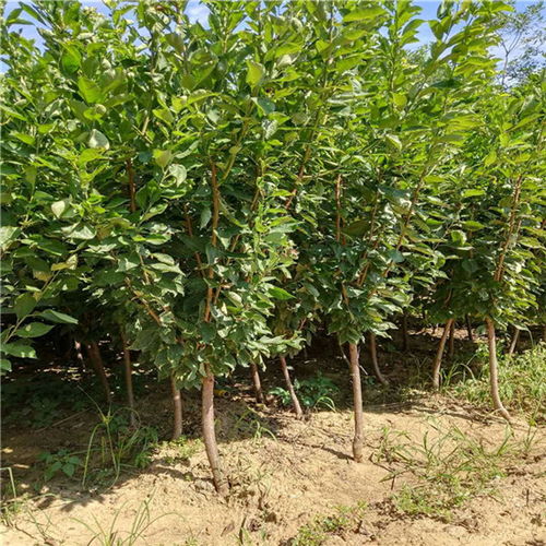毕节黄页88网