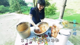 自家的红李子熟透了,下了几天的雨都烂树上了,给粉丝大哥邮寄几斤 酸甜可口 营养价值高