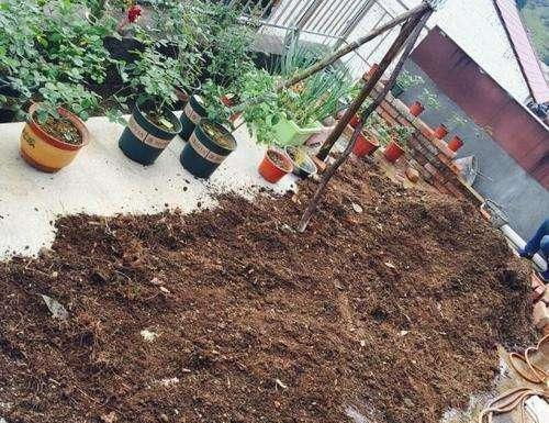 养花土挖来就用 不要不知道了,做好3个小改变,胜过营养土
