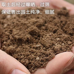 图片 品牌 怎么样 淘宝商城 天猫商城精选 元珍商城