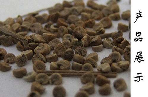 张家界草珊瑚给包邮吗,钟乳石个质优价廉