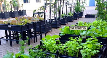 我想在屋顶种菜,不知种植盆箱哪有卖
