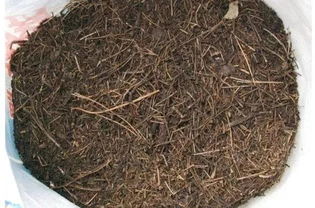 养花不用买土,这几种东西掺一块儿,种什么都旺,叶绿枝壮开花多 叶土