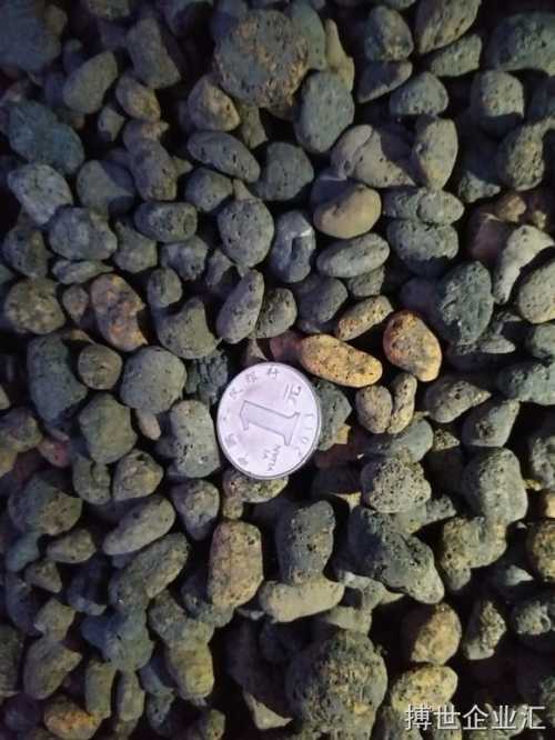 陶粒加水可以种什么花—陶粒可以种什么水草