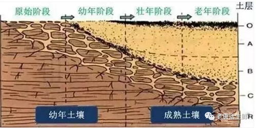 生鲜采购基础 了解常见的10种耕地土壤病