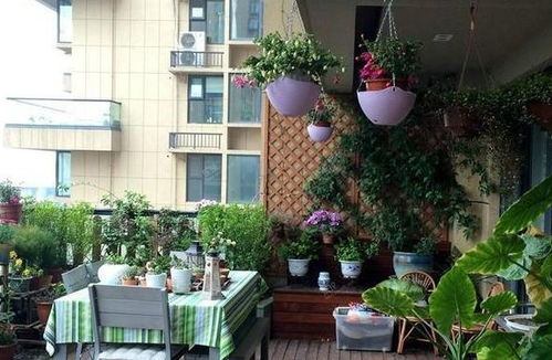 家里装个小阳台,有花有鸟,风景秀丽,格外美丽 花草