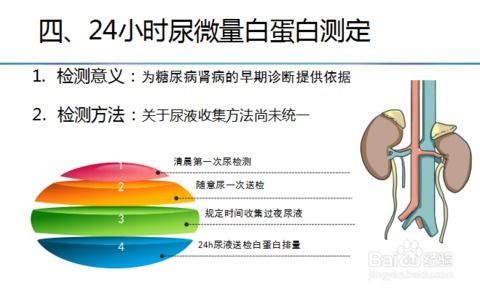 糖尿病人需要定期检测的项目