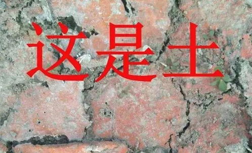 土壤坏了,用再好的药也无用