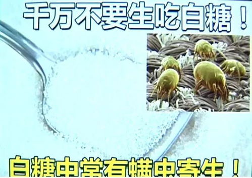 小女孩用它拌饭吃,肚子里密密麻麻全是虫子 速看真相 