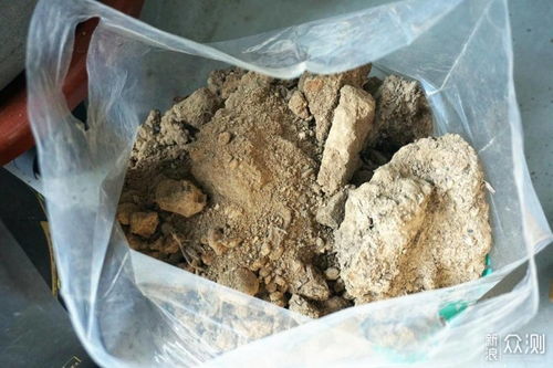 让小家生机盎然很简单,家养大型绿植经验分享