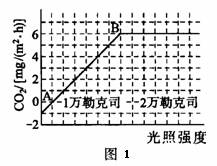 3.实验证明矿物元素会直接或间接地影响光合作用.图2 8所示为水稻叶片氮.磷含量与光合作用速率的关系.请据图4回答 1 分析图2 8.水稻叶片的氮.磷含量与光合作用速率之间有何关系