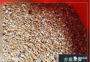 如何判断换土的时机