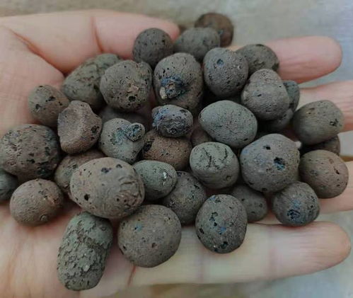 陶粒和石子哪个好、垫花盆底部用什么最好