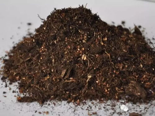 不花钱 又简单的营养土制作方法