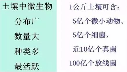 关于有机质,你不知道的10点