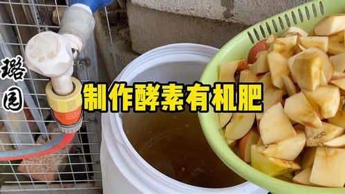 酵素有机肥的制作方法 