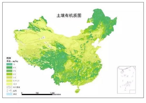 没有土壤有机质,就没有土壤肥力