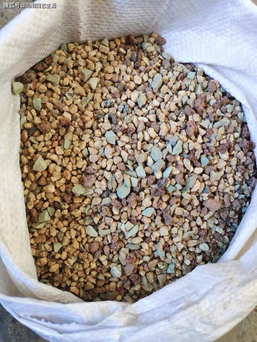 养多肉,分为3个阶段,针对3种土壤,用土很关键,你了解吗