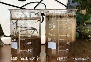 改良土壤快用土壤改良剂 松土精