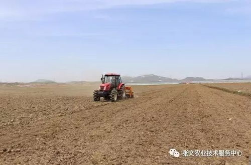 张文水稻技术100题 01 什么样的土地适合种水稻