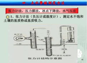 土壤水