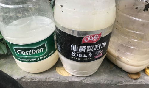 给花沤肥时加点它,一点都不臭,反而有股淡淡的清香