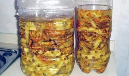 自制肥料篇 这么用香蕉皮养花,轻松变废为宝