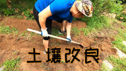 土,土,土,种菜的第一步.营养土配置及多种土壤改良方法分享
