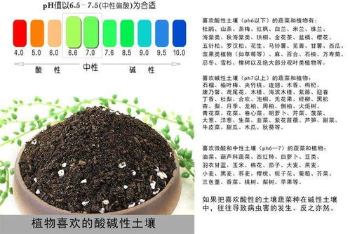 如何区分酸性土和碱性土_怎么分别酸性土和碱性