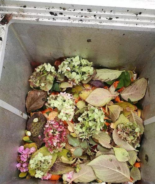 2种营养土家里就能做,养花不板结不烂根,大白根挤破盆