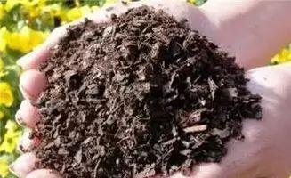 养花不买土,自己在家制作营养土,用这个养花,开花到爆