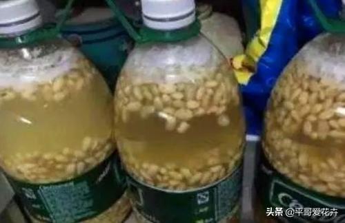 沤肥沤到发黑发臭了还能要吗_肥料发酵的臭味怎
