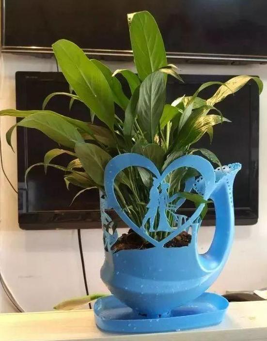 旧书 易拉罐 塑料瓶 ,用作养花,既省钱又好看有趣