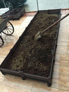 屋顶种菜,看看用这种箱子做的菜园如何