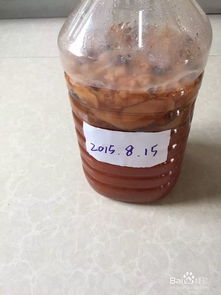 如何用果皮及坏掉的水果制作环保酵素