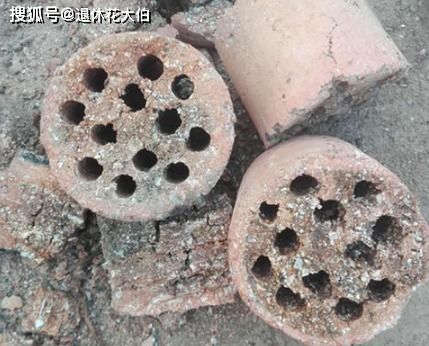 春天养花换盆土,不想掏钱买陶粒垫盆底,可以用这3样来代替