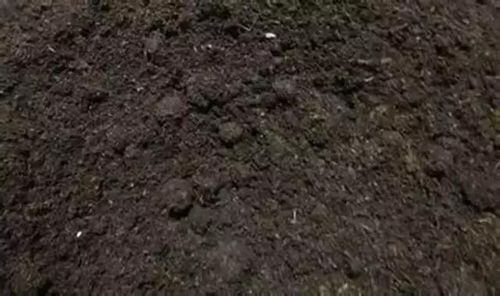 史上最全的四十种多肉土介绍之完整版