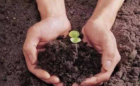 改良土壤常用的方法有哪三种-土壤杀菌消毒什么