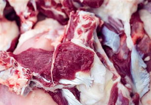现在羊肉的市场价格多少钱一斤 全国各地最新价格走势如何 2023年还会继续上涨吗