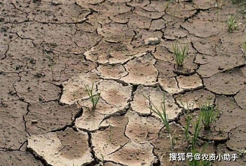 改良土壤形势严峻 有哪些好用的改良土壤的方法 黄腐酸钾预防土壤问题