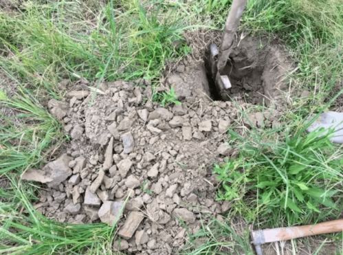 菜园土板结怎么才能疏松、种菜土壤板结如何松