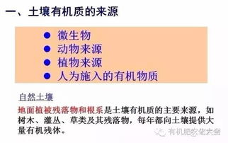 全面了解 土壤有机质