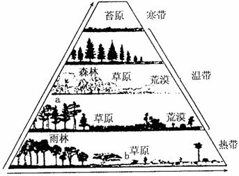 28.读美国部分区域土壤有机质含量分布示意图.回答 1 简要分析②地有机质含量最高.但土壤多呈碱性的原因. 2 简述图中①地区的气候类型和地形成因.并简要分析地形
