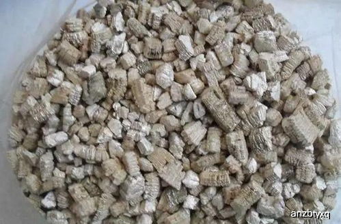 养花就用这种土,不怕烂根黄叶,花蹭蹭疯长