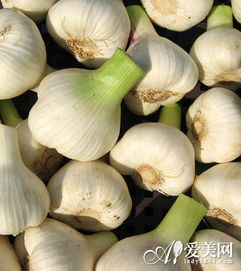 健康从头到脚 细数身体不同部位偏爱的蔬果