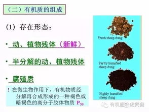 全面了解 土壤有机质